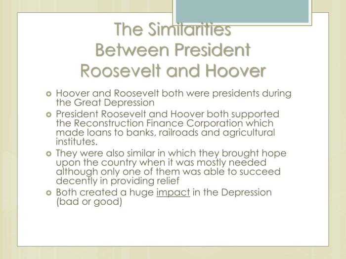 Similarities between hoover and fdr