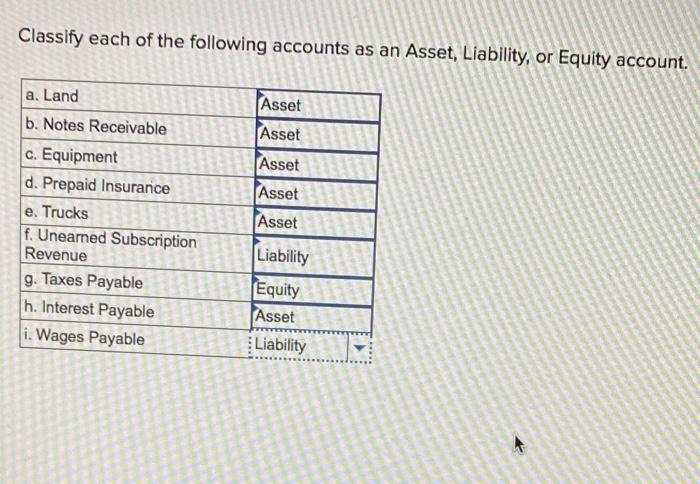 Liability owner's capital and revenue accounts normally have