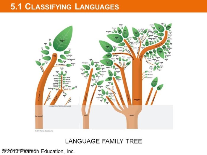 Indo european language family ap human geography