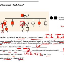 Huntington's disease pedigree worksheet answers